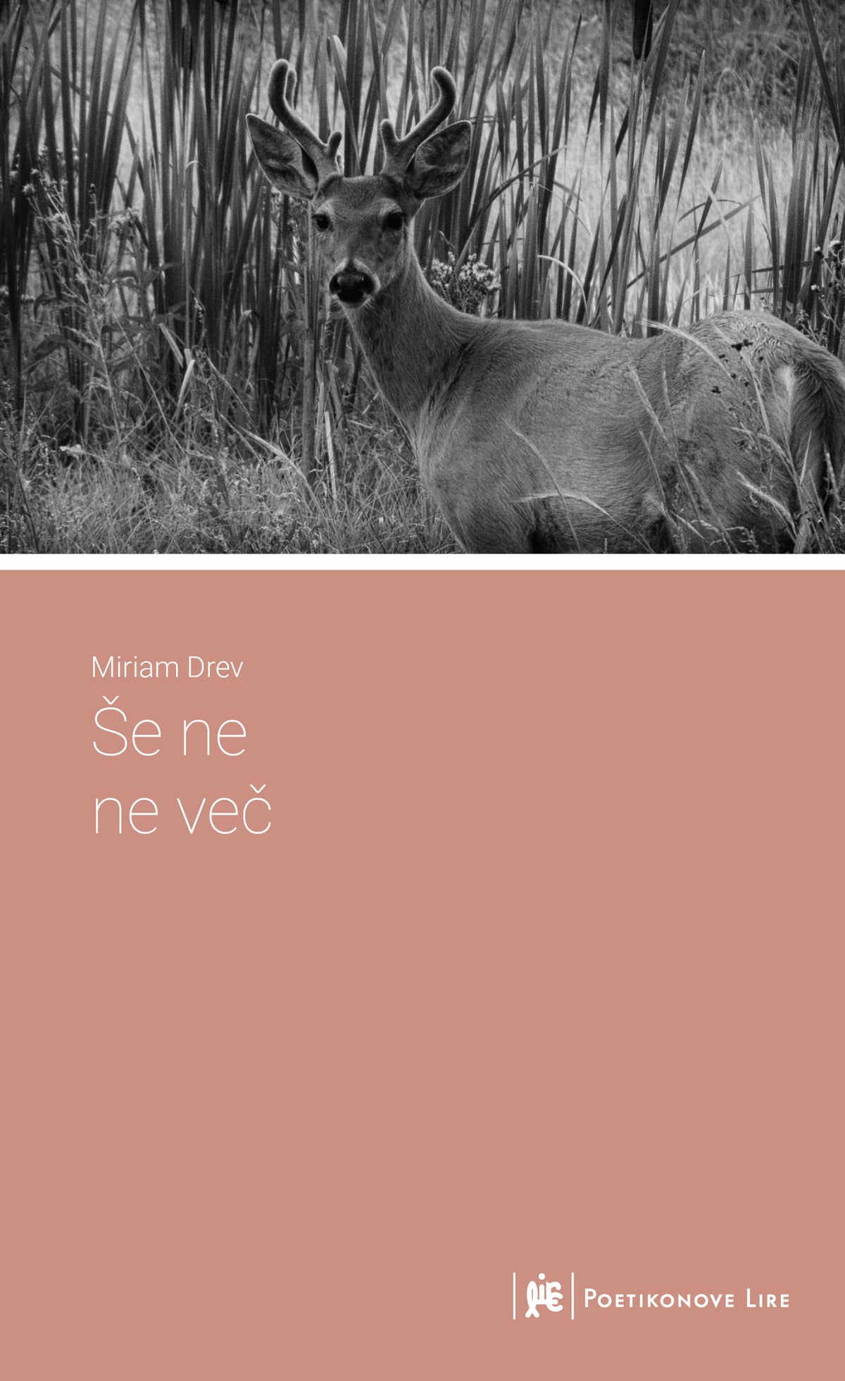 Še ne ne več