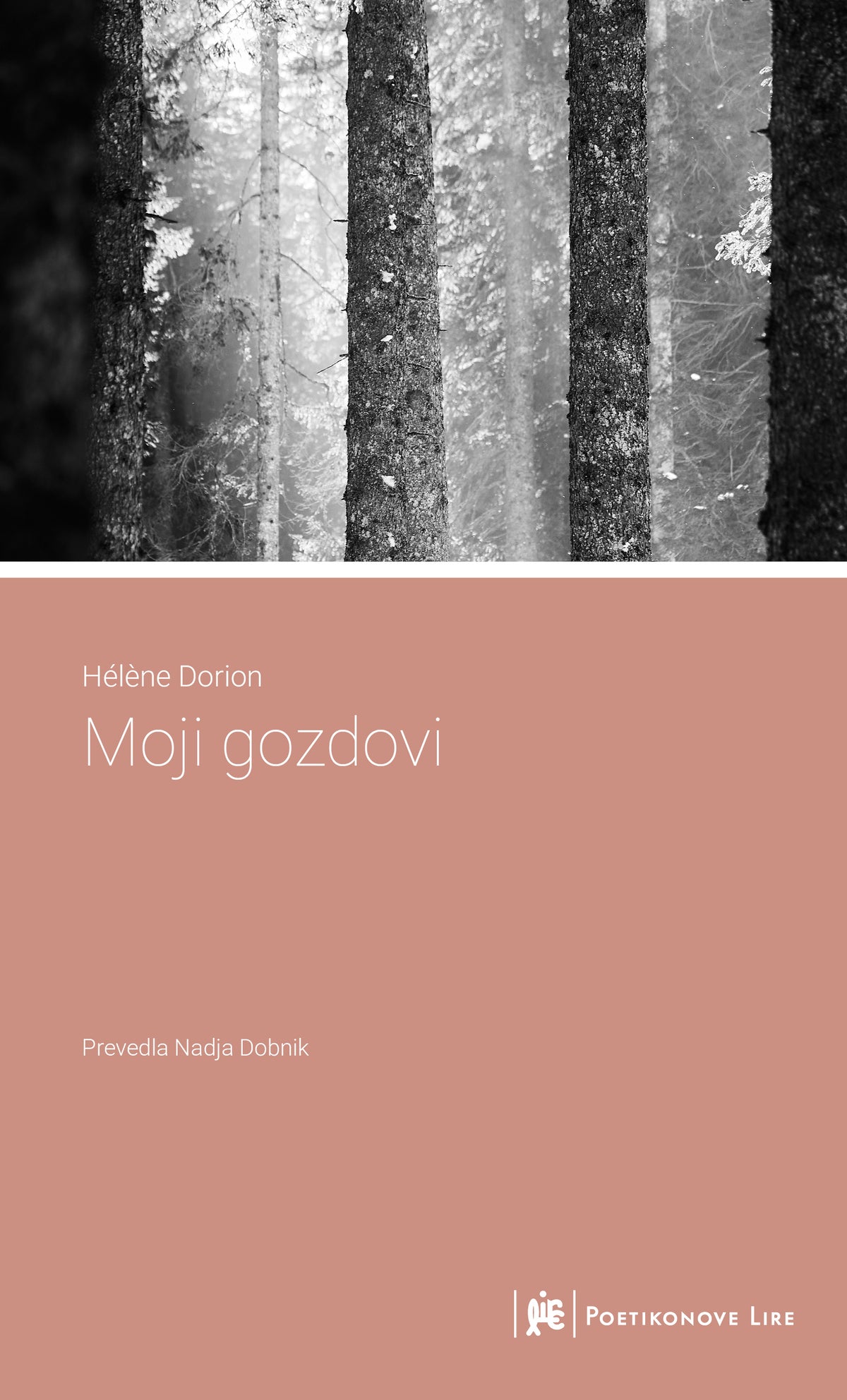 Moji gozdovi