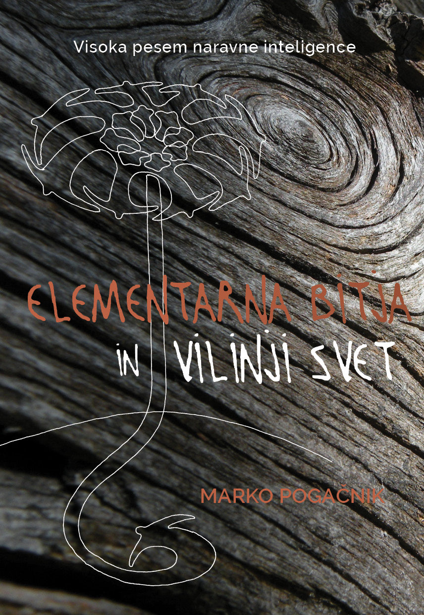 Elementarna bitja in vilinji svet