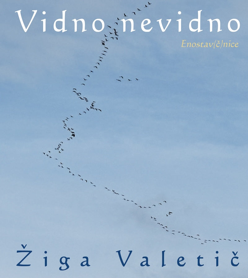 Vidno nevidno