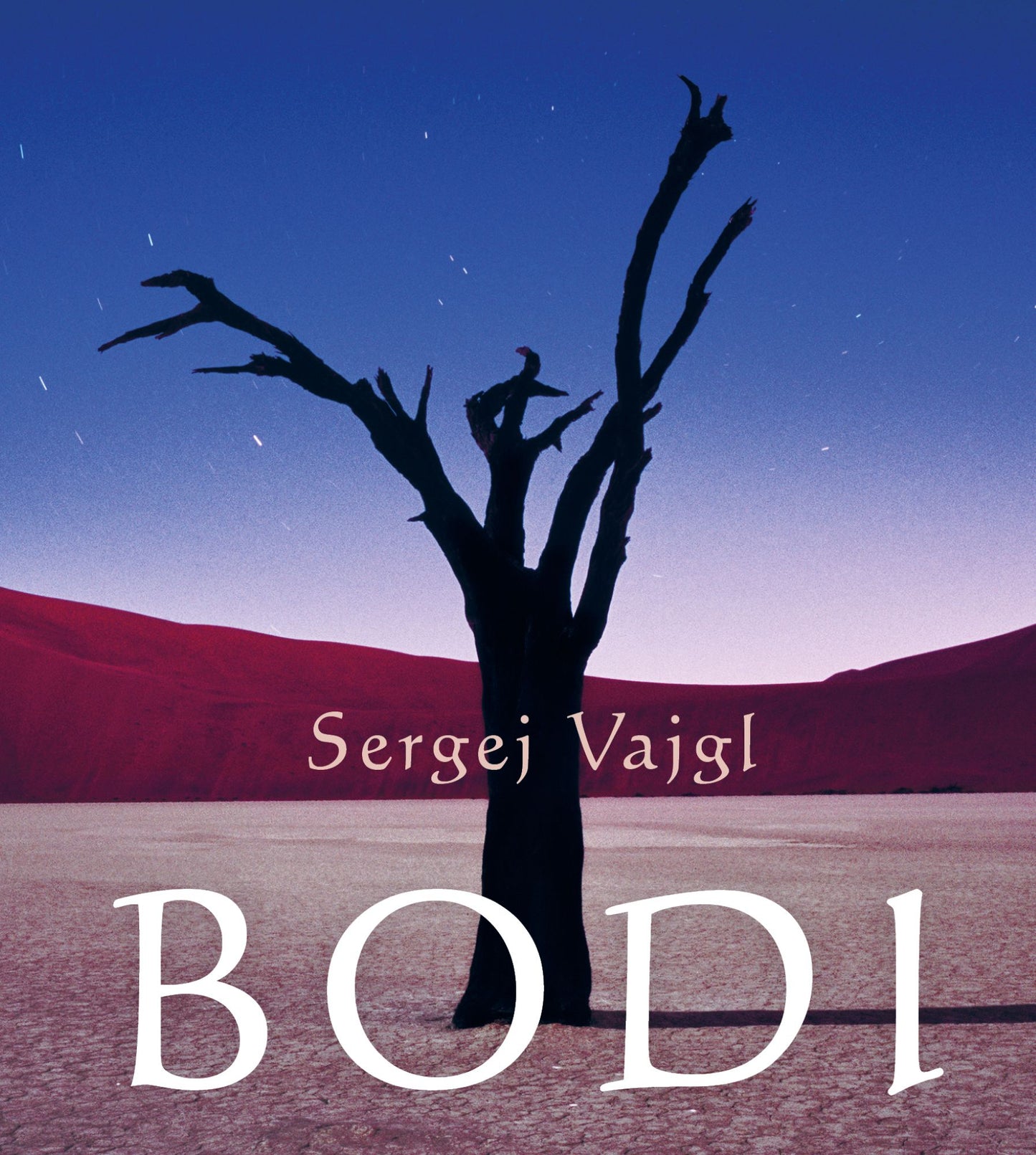 Bodi
