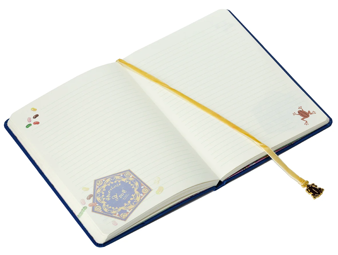 Harry Potter: Chocolate Frog Journal with Ribbon Charm