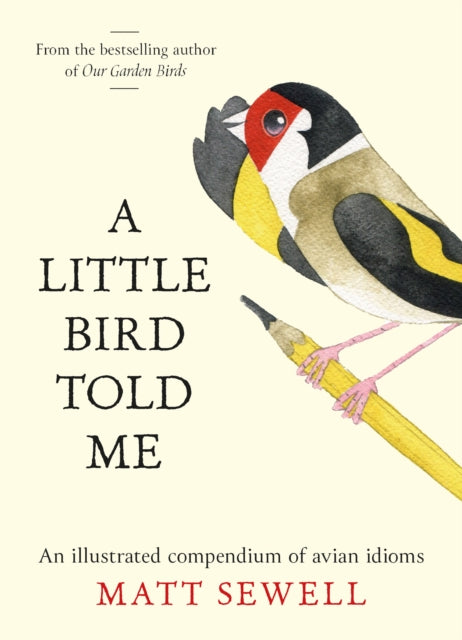 Little Bird Told Me