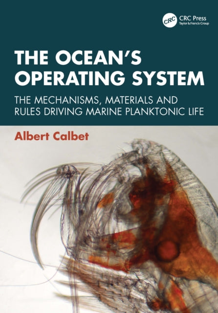 Ocean’s Operating System