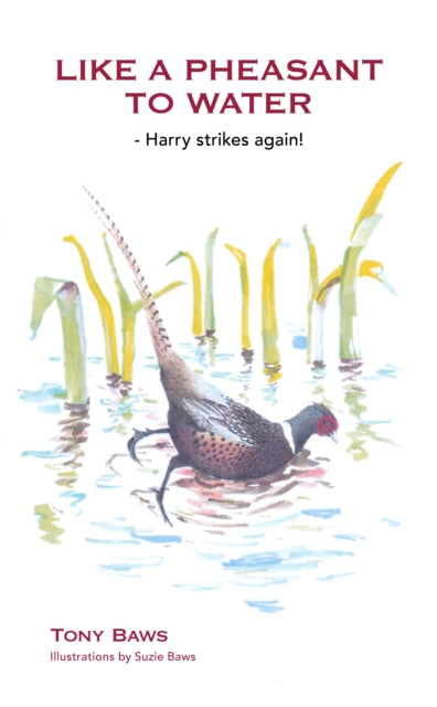 Like a Pheasant to Water
