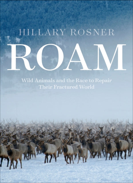 Roam