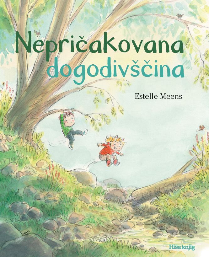 Nepričakovana dogodivščina