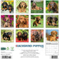 Just Dachshund Puppies 2025 30x30cm Wall Calendar