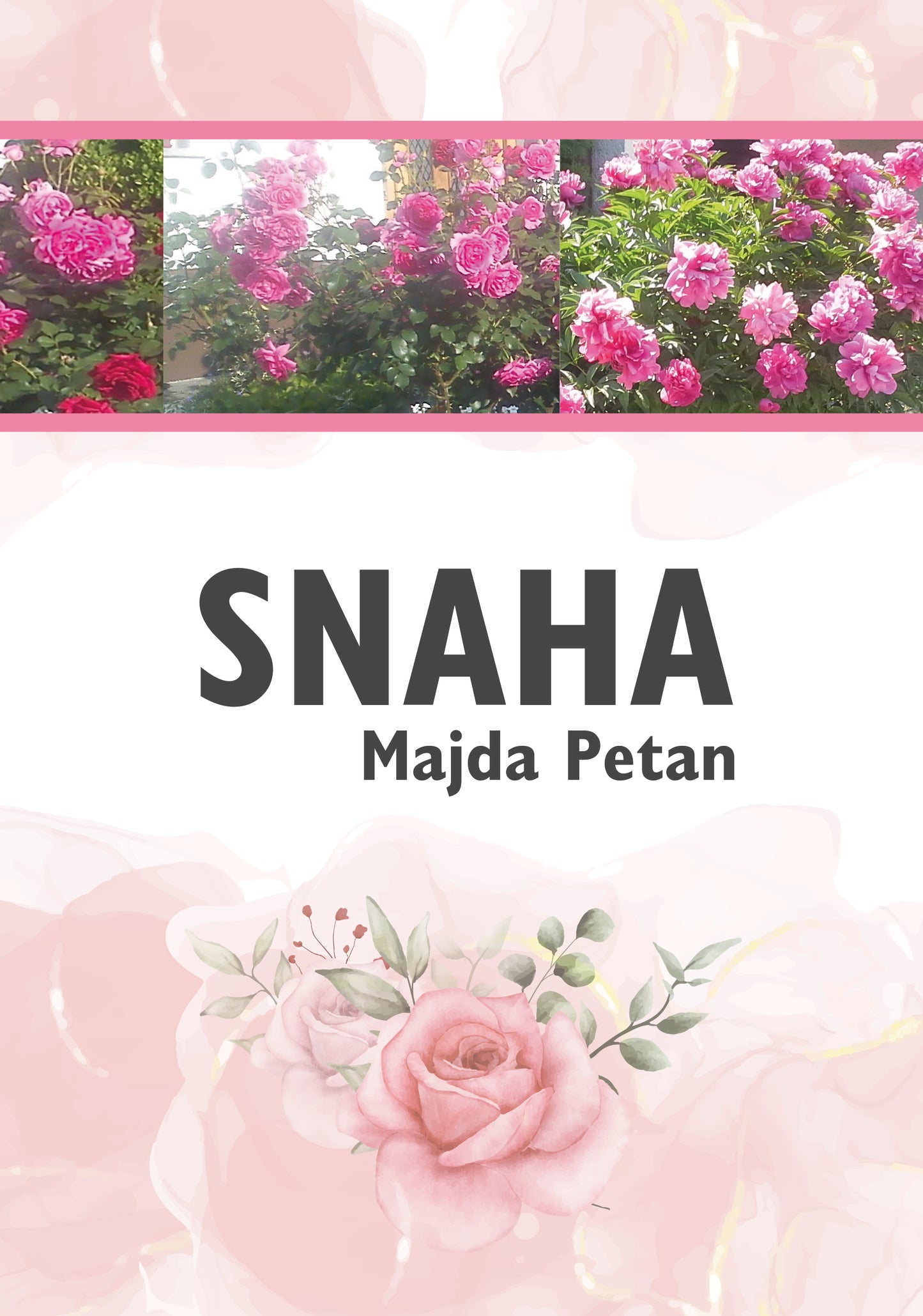 Snaha