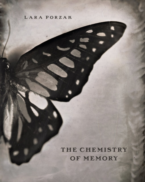 Chemistry of Memory