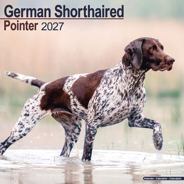 German Shorthair Pointer