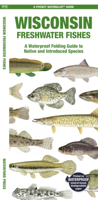 Wisconsin Freshwater Fishes