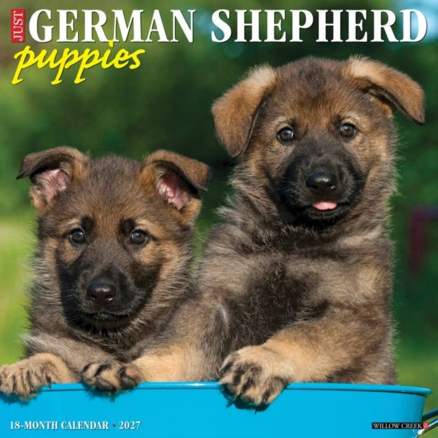 German Shepherd Puppies 2027 Wall