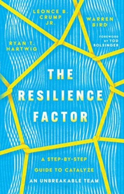 Resilience Factor – A Step–by–Step Guide to Catalyze an Unbreakable Team