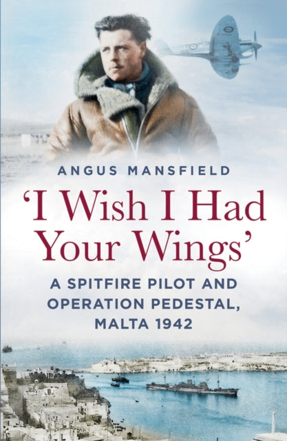 'I Wish I Had Your Wings'
