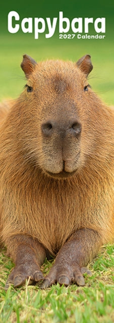 Capybara Slim