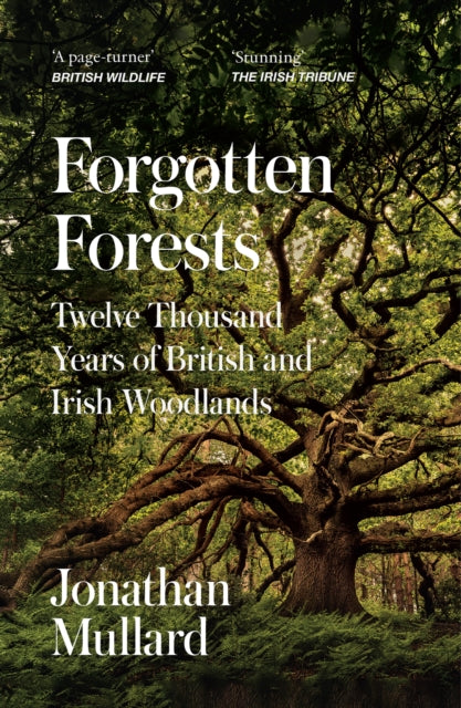 Forgotten Forests