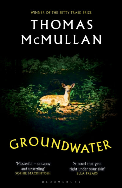 Groundwater