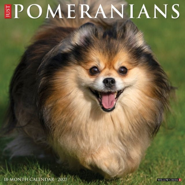 Pomeranians 2027 Wall