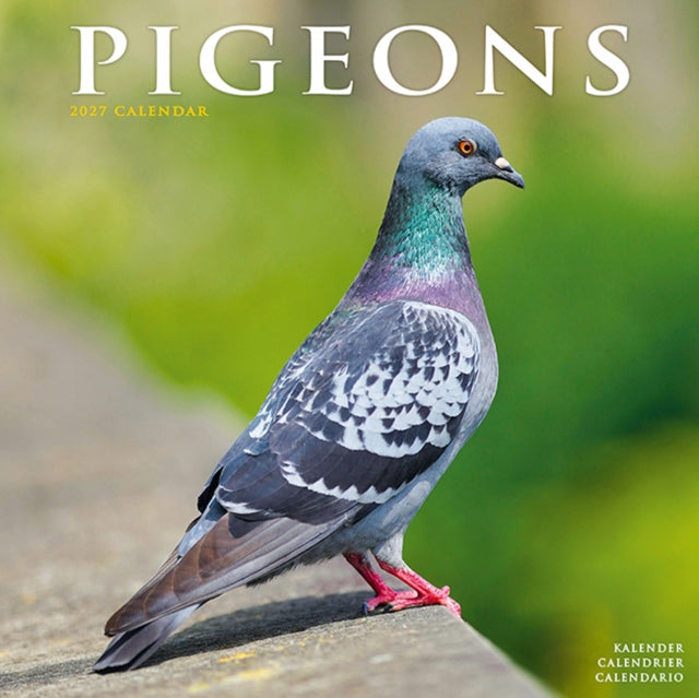 Pigeons