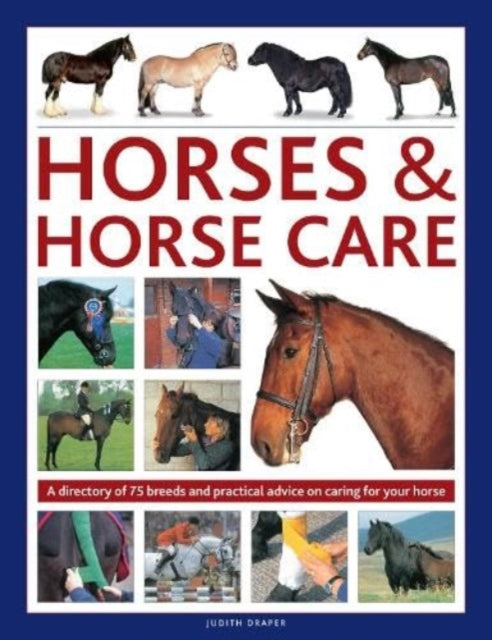 Horses & Horse Care