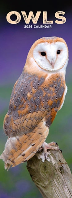 Owls Slim Calendar 2026  Bird Slimline Calendar - 12 Month