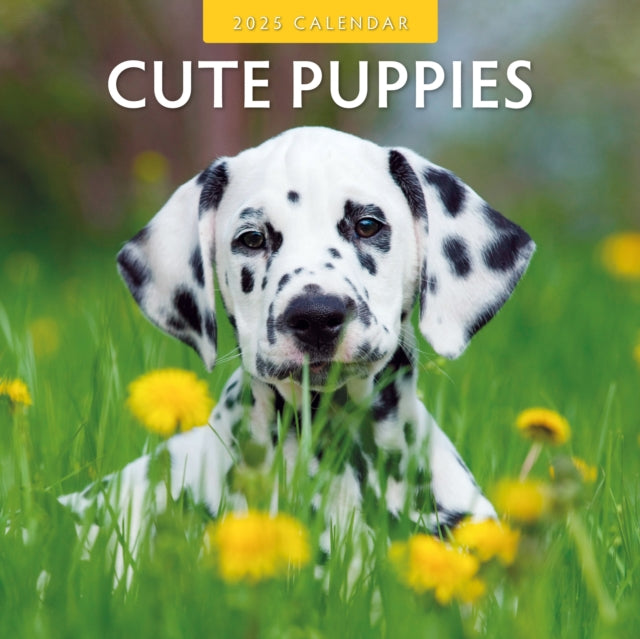 Cute Puppies 2025 Square Wall Calendar