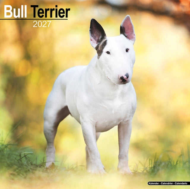 Bull Terrier Wall
