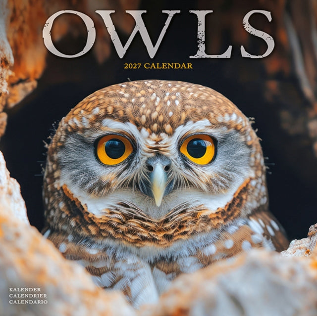 Owls W / AVONSI