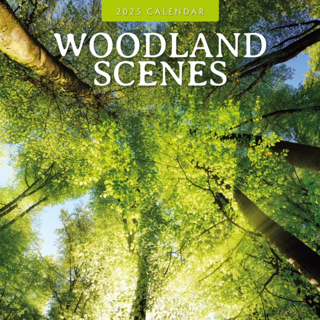 Woodland Scenes 2025 Square Wall Calendar