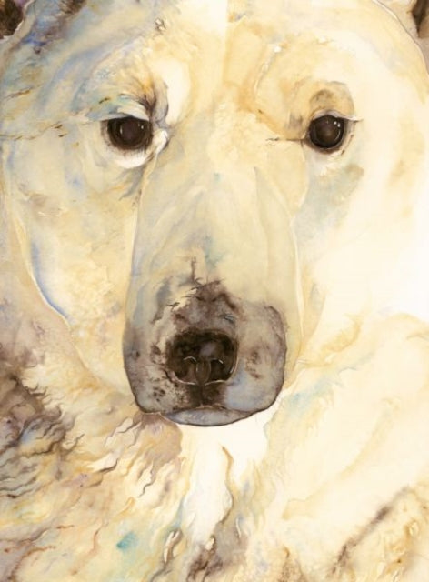 Ice Bear, The - Artist Edition