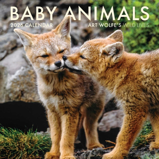 2026 Baby Animals Wall Calendar