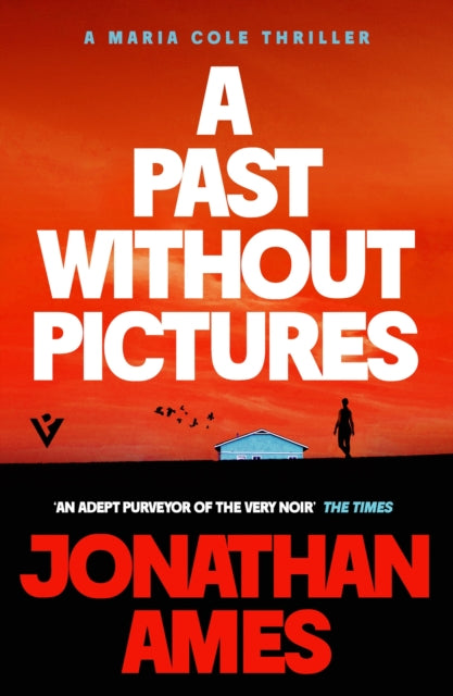 Past Without Pictures