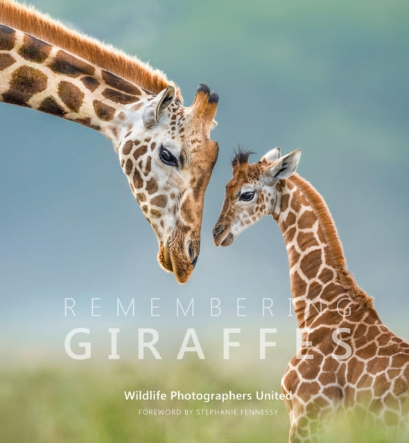 Remembering Giraffes