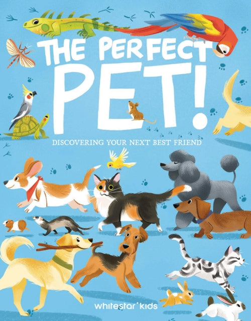 Perfect Pet!