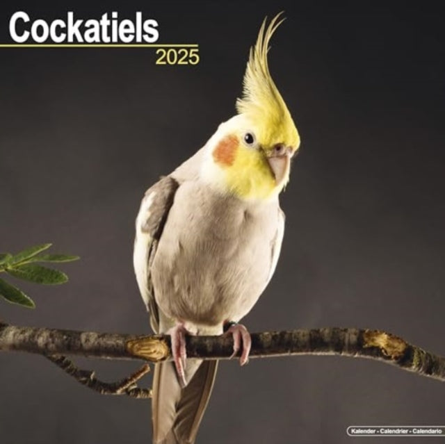 Cockatiels Calendar 2025  Square Bird Wall Calendar - 16 Month