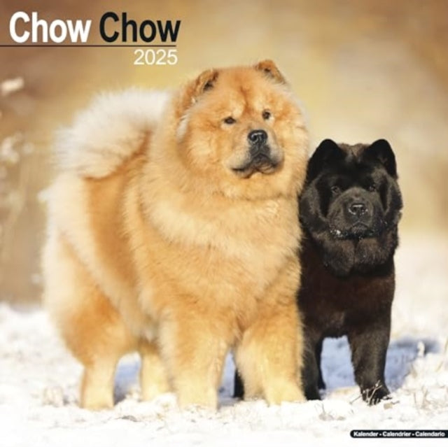 Chow Chow Calendar 2025  Square Dog Breed Wall Calendar - 16 Month