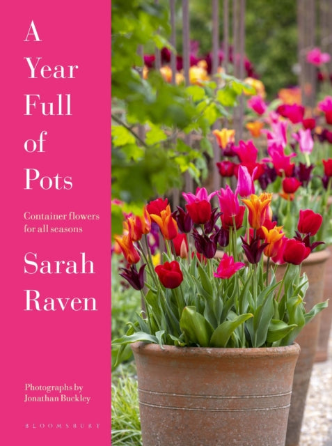 Year Full of Pots