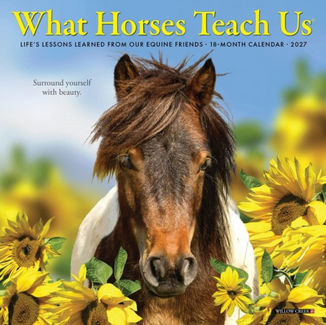 What Horses Teach Us 2027 Mini