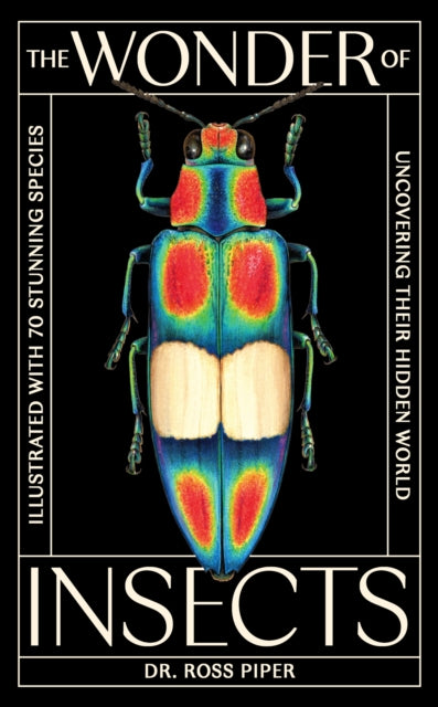 Wonder of Insects: Uncovering their Hidden World