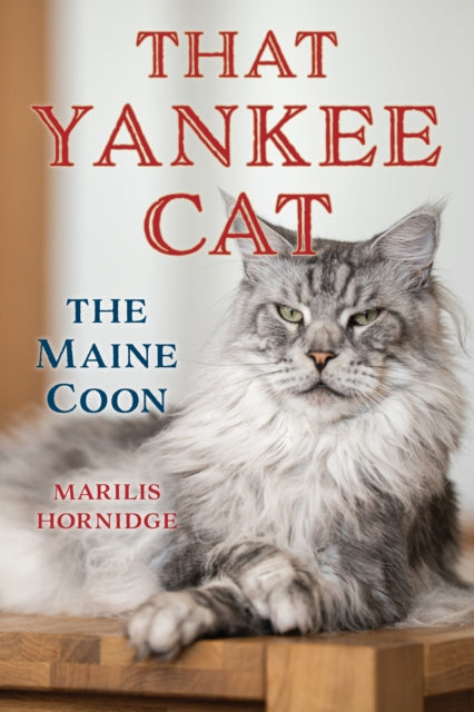 That Yankee Cat