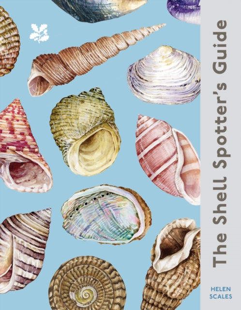 Shell Spotter’s Guide