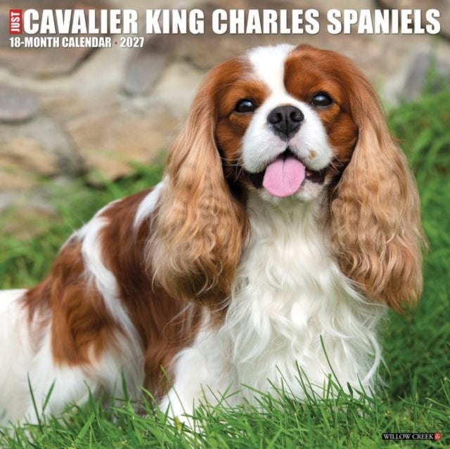 Cavalier King Charles Spaniels 2027 Wall