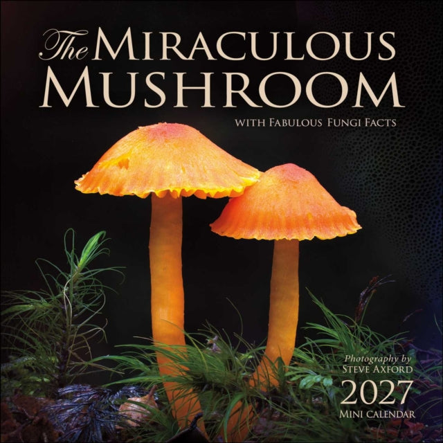Miraculous Mushroom 2027 Mini Wall Calendar