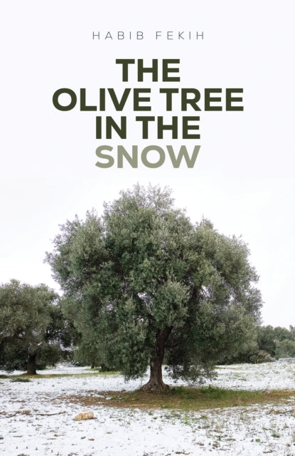 Olive Tree in the Snow