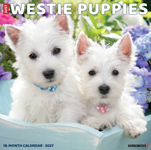 Westie Puppies 2027 Wall