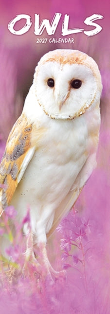 Owls Slim