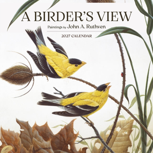 Birder's View: Paintings by John A. Ruthven 2027 Wall Calendar