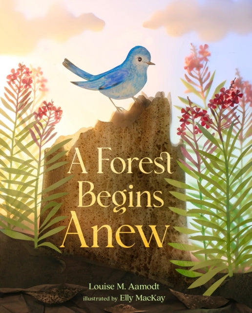 Forest Begins Anew