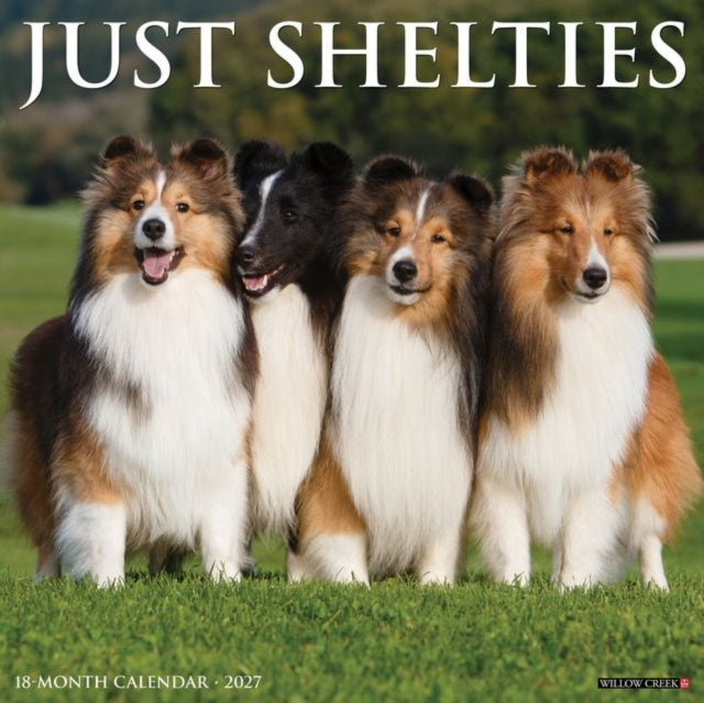 Shelties 2027 Wall